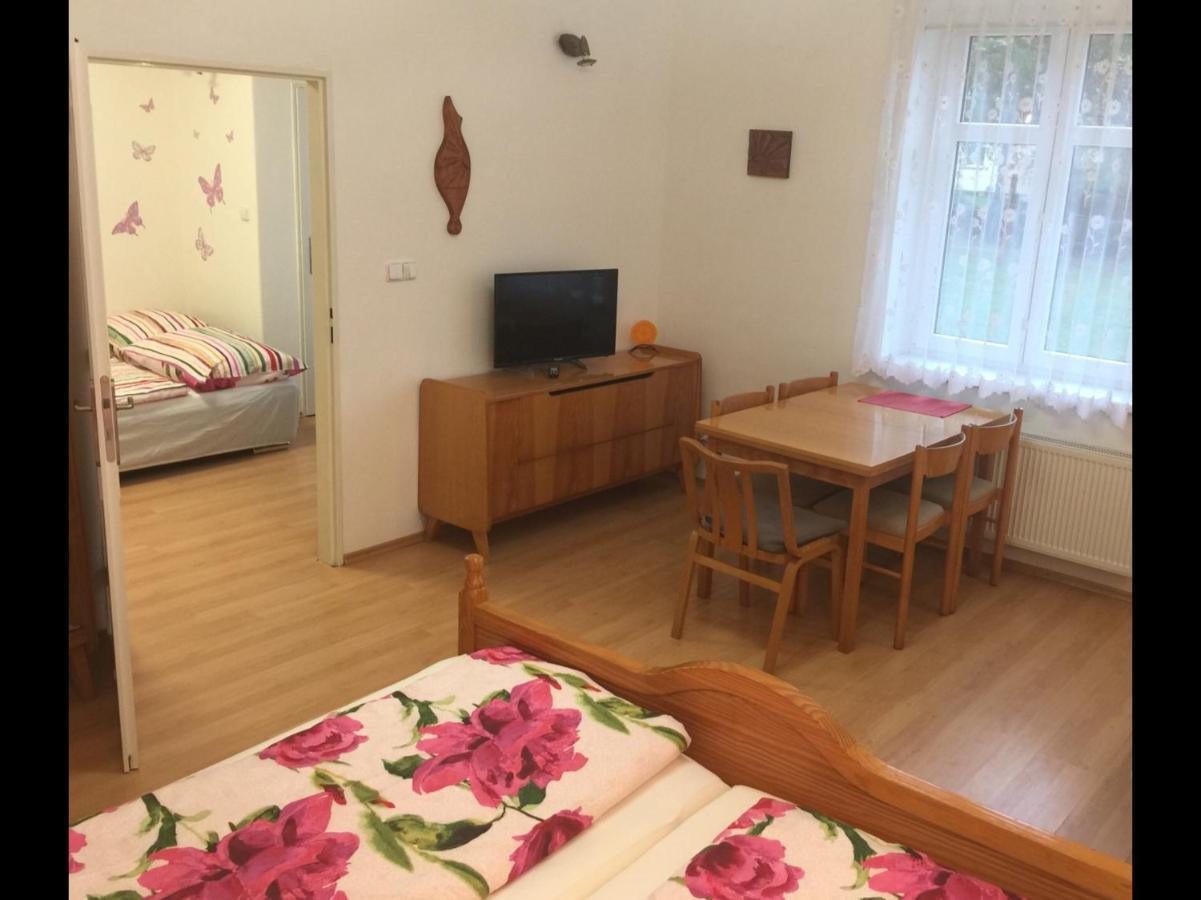 Apartman Oaza Dc Decin Buitenkant foto